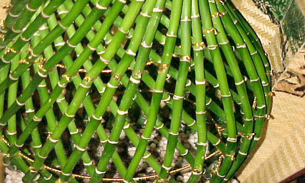 bambuk37min4
